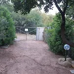 Margherita