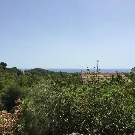 Margherita *
