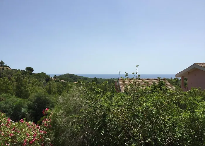 Margherita *